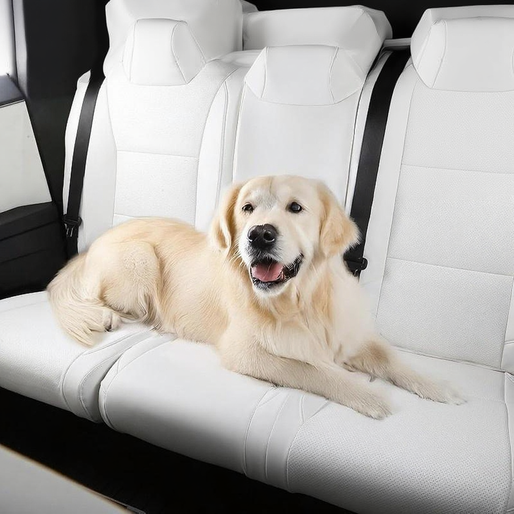 All-Inclusive Seat Cover for Tesla Cybertruck