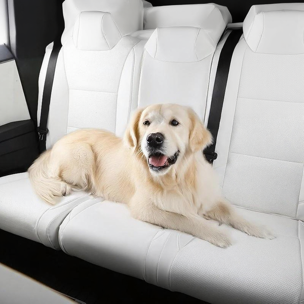 All-Inclusive Seat Cover for Tesla Cybertruck