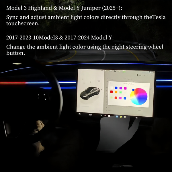 Blind Spot Detection (BSD) Smart Ambient Light for Tesla Model 3/Y
