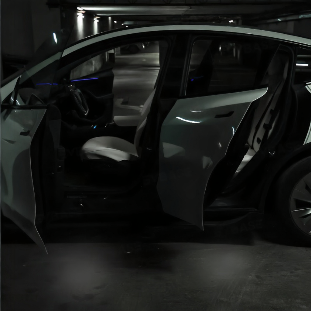 LED Door Projector Lights for Tesla Model 3/Y