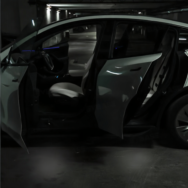 LED Door Projector Lights for Tesla Model 3/Y