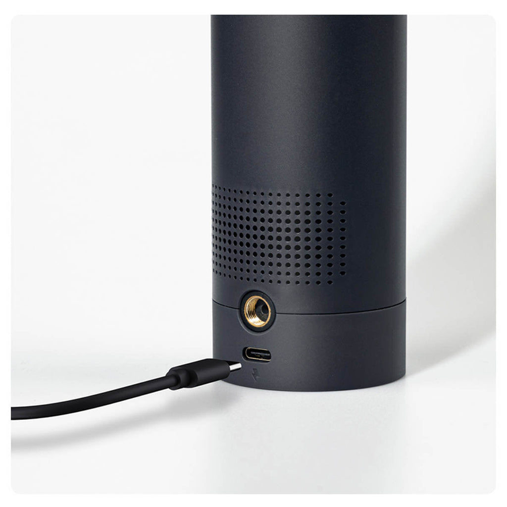 Two-in-one Tesla vacuum cleaner and inflator