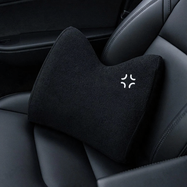 TITA Memory Foam Car Lumbar Support Cushion for Long Drives