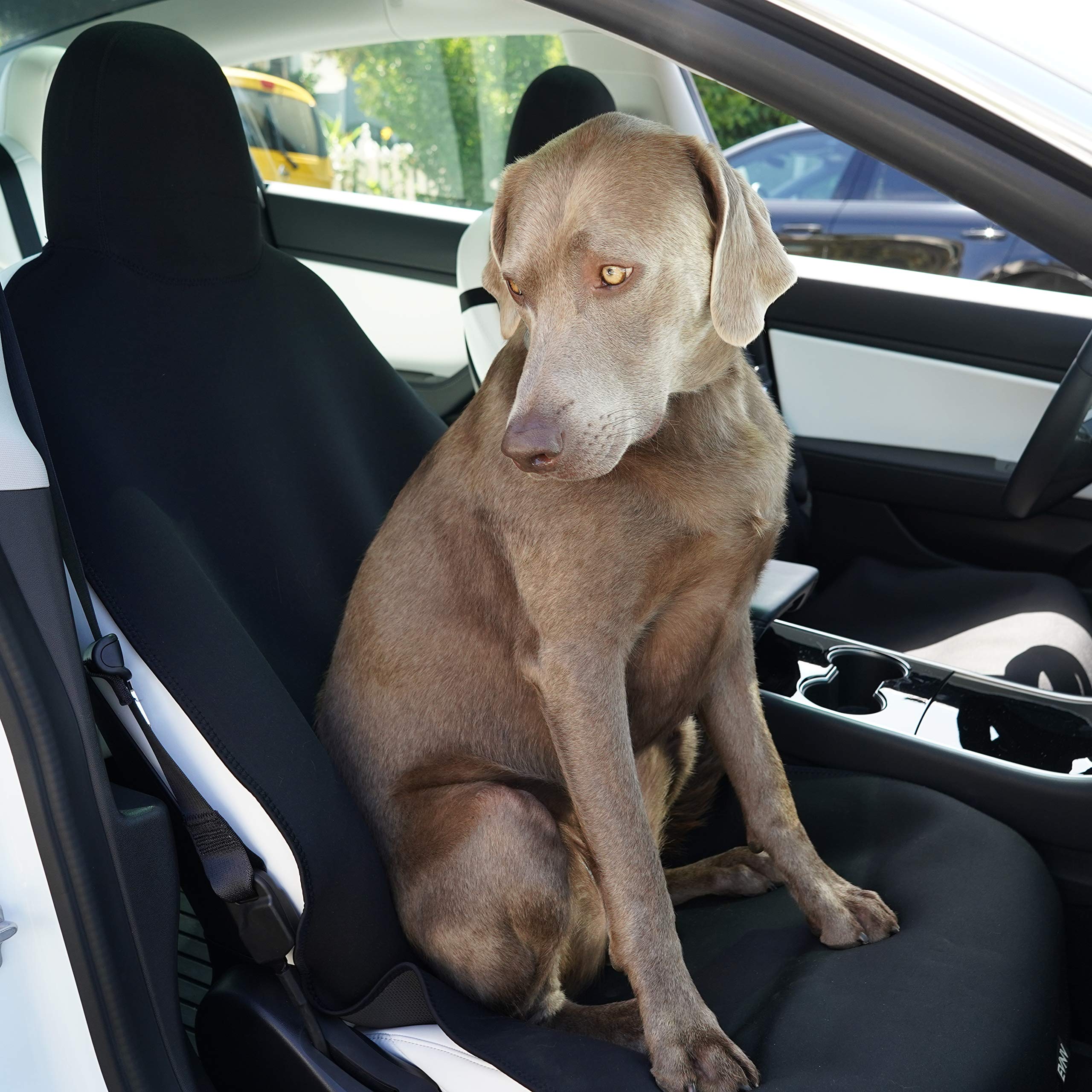 Pet cushion for Tesla Model 3/Y/S/X（2017-2026）