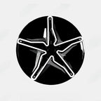 Tesla Model 3 18-inch Starfish Style Hubcap