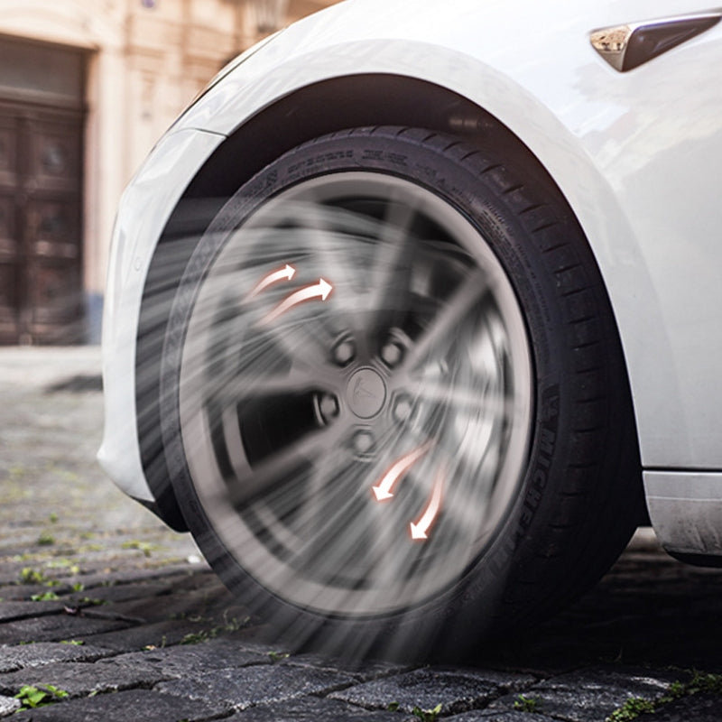 Model Y 19 Inch Arachnid Wheel Cover