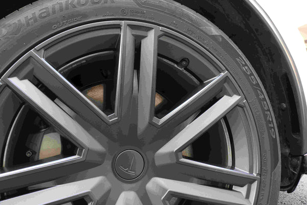 Model Y 19 Inch Arachnid Wheel Cover